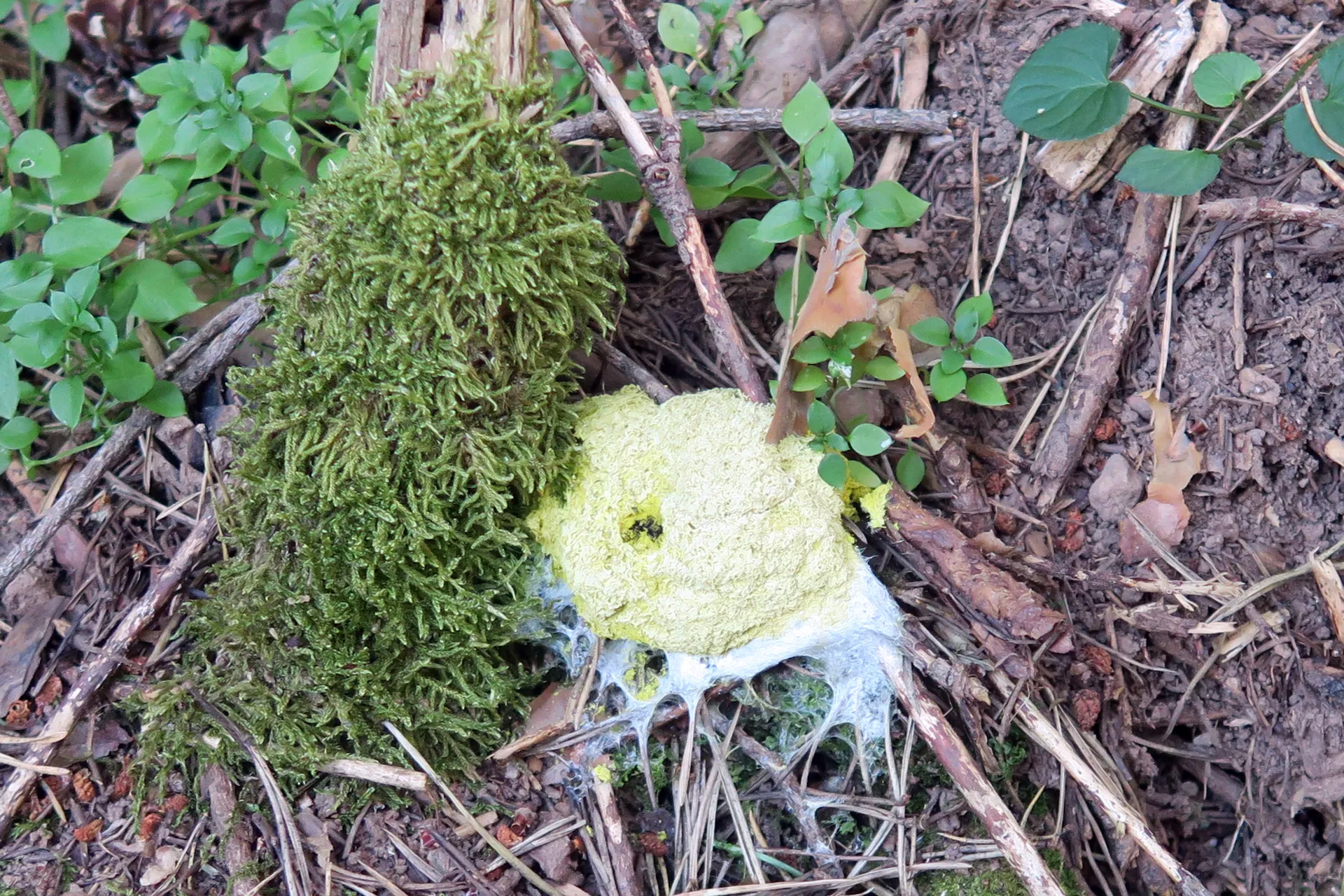 1 -